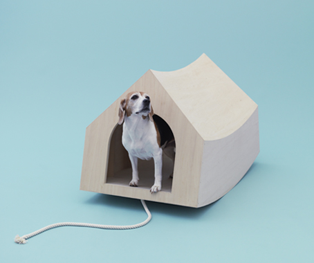 Architecture for Dogs